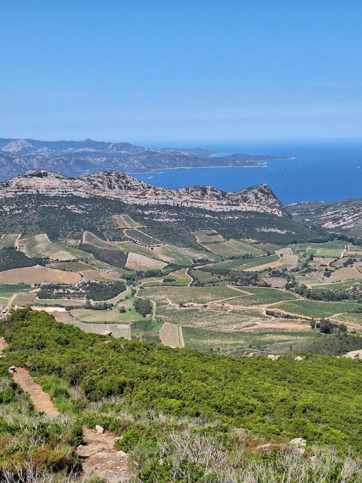 Le Clos Osteria Barbaggio المظهر الخارجي الصورة